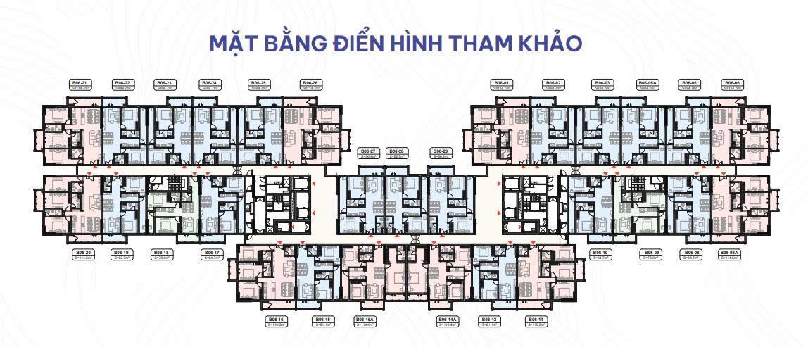 legacy-hinoiri-phu-cat-hoa-lac-mat-bang-du-an